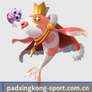 xingkong移动端 APP